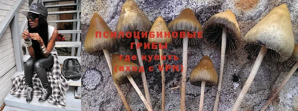 прущий лед Алзамай