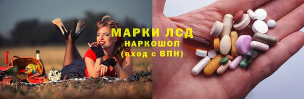 прущий лед Алзамай